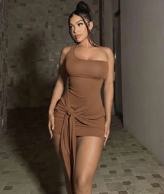 Women's Solid Color Simple Everyday Asymmetrical Neck Dress